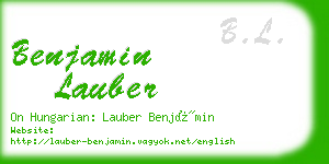 benjamin lauber business card